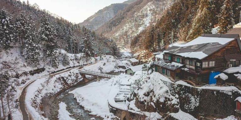 Plants in Snowy Regions Names, Features and Survival Strategies