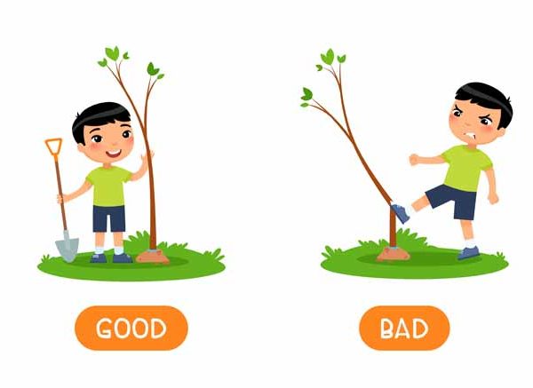 Teach Kids About The Difference Between These vs Those