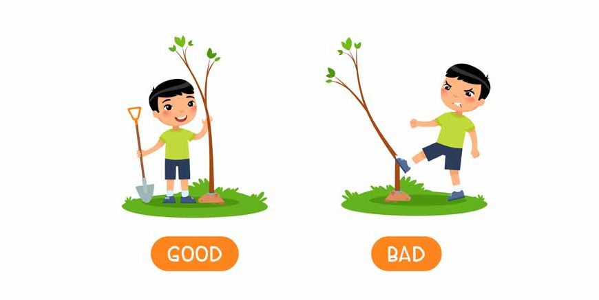 Teach Kids About The Difference Between These vs Those