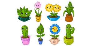 Teach Kids Different Types of Plants Names & Their Classification