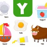 Teach Kids Words That Start With Y - Learn Y Words for Kids in English