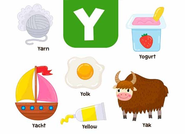Teach Kids Words That Start With Y - Learn Y Words for Kids in English