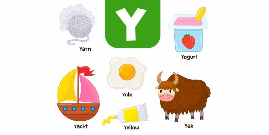 Teach Kids Words That Start With Y - Learn Y Words for Kids in English