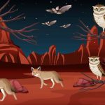 Teaching Your Kids About Nocturnal Animals