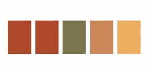 What Are Warm Colors How to Use the Color Wheel for Design