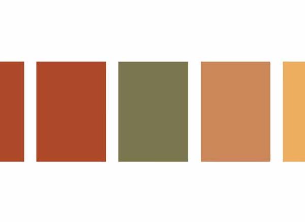 What Are Warm Colors How to Use the Color Wheel for Design