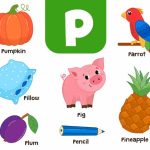 Words That Start With P Learn P Words for Kids in English