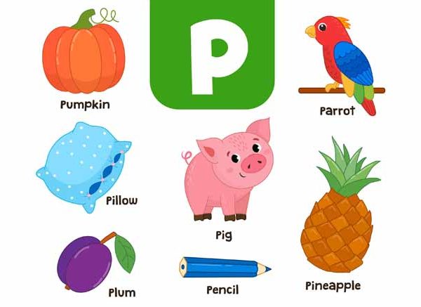 Words That Start With P Learn P Words for Kids in English