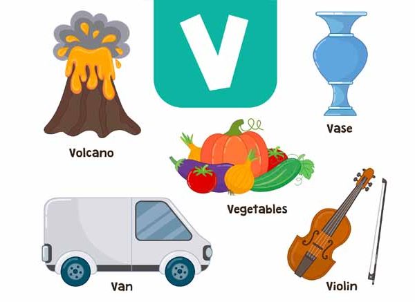 Words That Start With V - Learn V Words for Kids in English