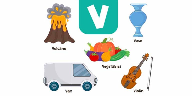 Words That Start With V - Learn V Words for Kids in English