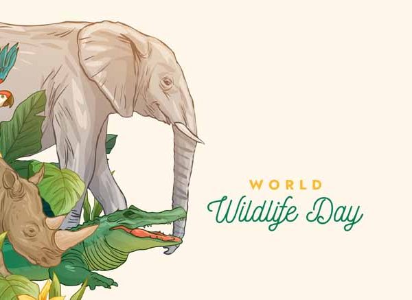 World Wildlife Day Quotes for Kids – Simple & Inspiring Lines