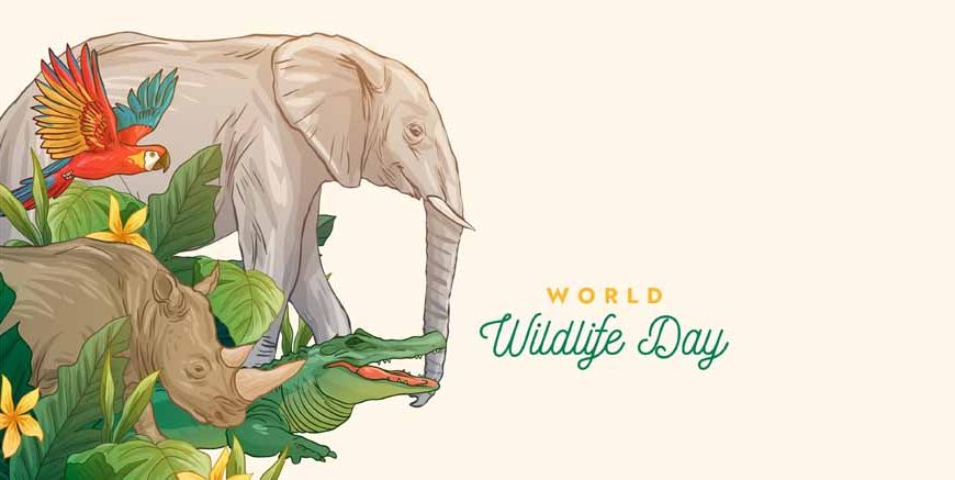 World Wildlife Day Quotes for Kids – Simple & Inspiring Lines
