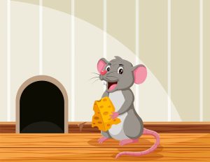 Explore Interesting Facts About Mouse