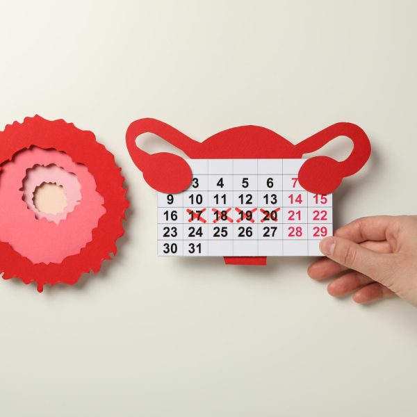 Gestation Period in Humans: Definition, Stages & Key Facts