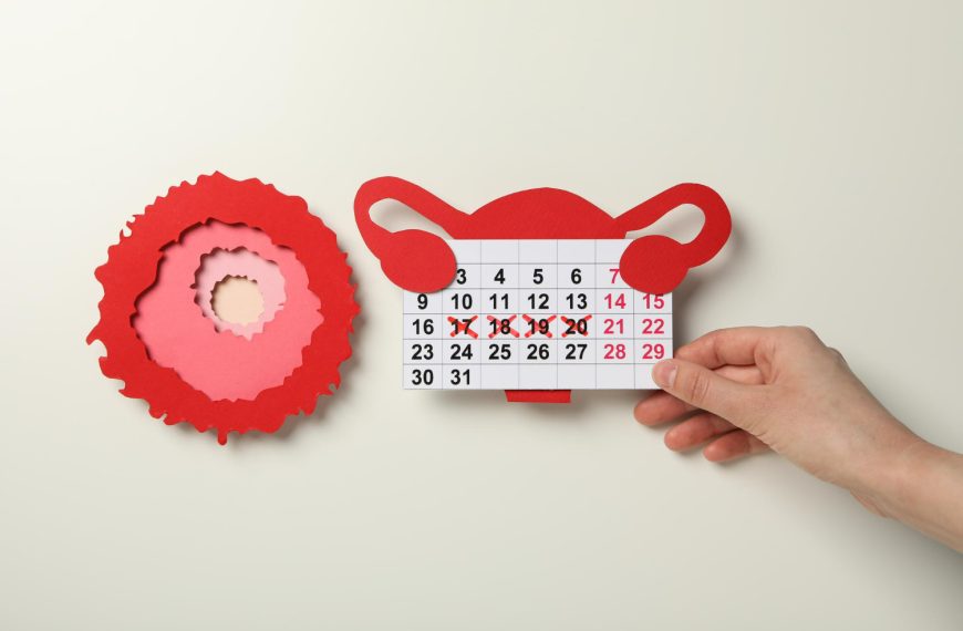 Gestation Period in Humans: Definition, Stages & Key Facts