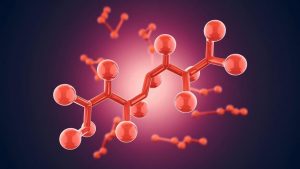 Role of Pepsin: Key Uses & Functions Explained for Class