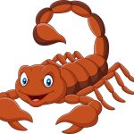cartoon-scorpion-isolated