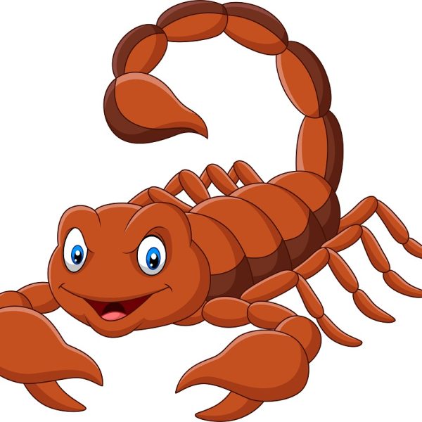 cartoon-scorpion-isolated