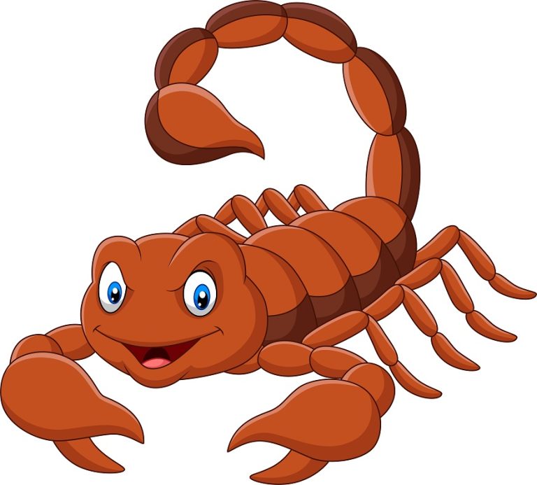 cartoon-scorpion-isolated