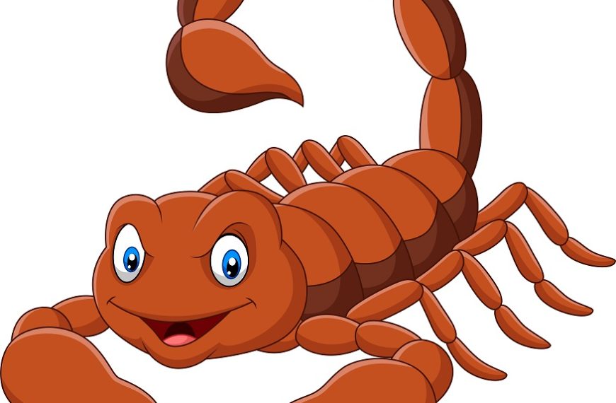 cartoon-scorpion-isolated