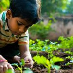 Essay On Agriculture in English for Classes 1–3 10 Lines, Short & Long Paragraph