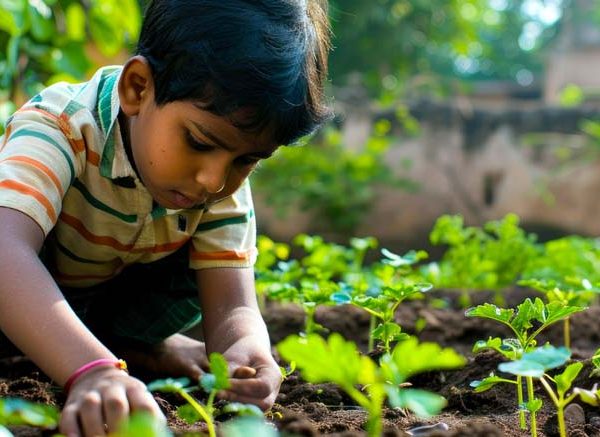 Essay On Agriculture in English for Classes 1–3 10 Lines, Short & Long Paragraph