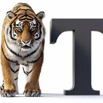 Essay On The Tiger In English For Classes 1