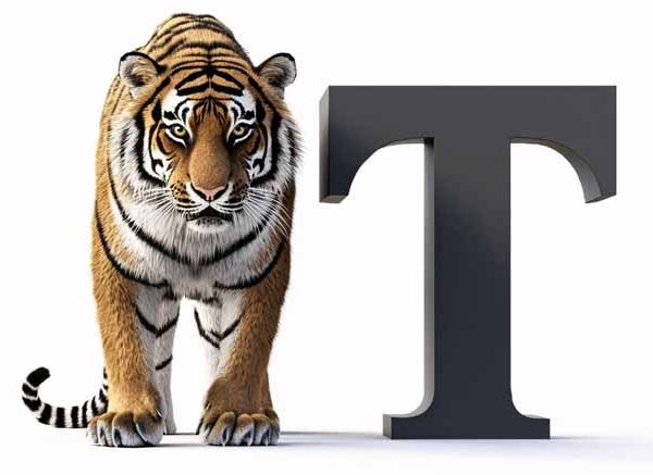 Essay On The Tiger In English For Classes 1