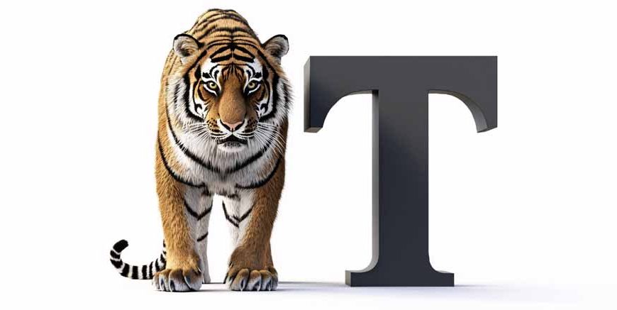 Essay On The Tiger In English For Classes 1