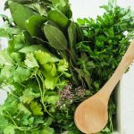 Facts About Herbs - Key Concepts, Examples & Uses Explained