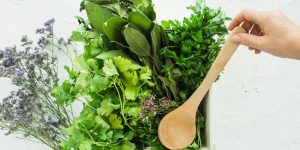 Facts About Herbs - Key Concepts, Examples & Uses Explained