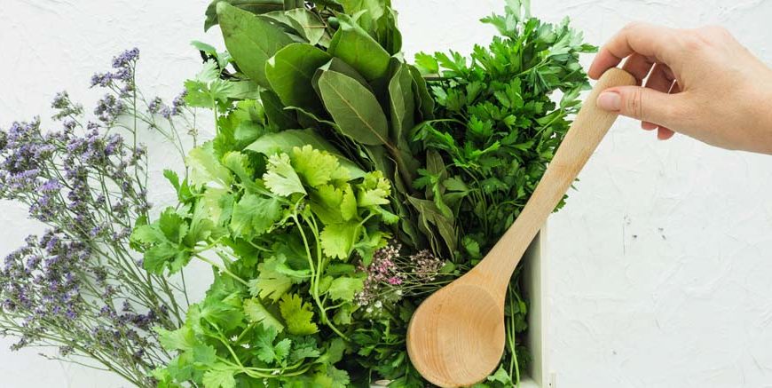 Facts About Herbs - Key Concepts, Examples & Uses Explained