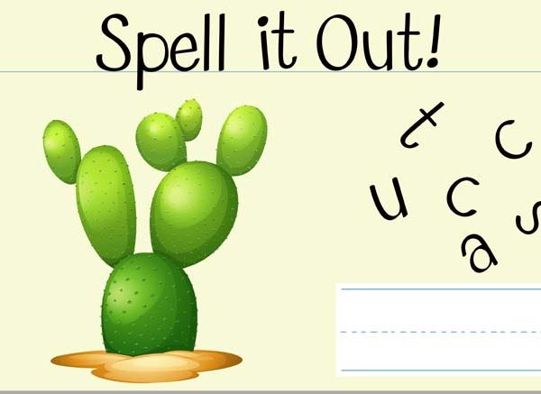 Fascinating Facts About Cactus for Students - English Learning