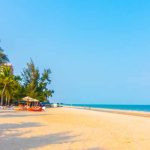 Information About Beach Learn Important Terms and Concepts