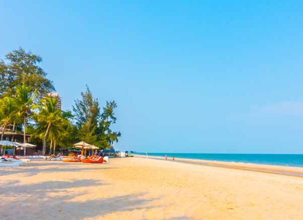 Information About Beach Learn Important Terms and Concepts