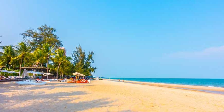 Information About Beach Learn Important Terms and Concepts