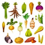 List of Root Vegetables Names for Kids