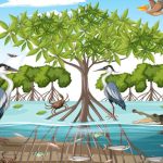 Mangrove Forests and Animals Adaptations, Examples & Facts