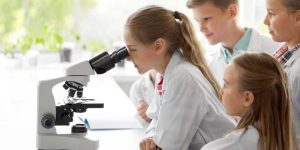Microscope Parts and Functions Explained for Students