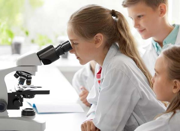 Microscope Parts and Functions Explained for Students