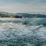 Pacific Ocean Shape, Features & Wildlife Explained for Class Level