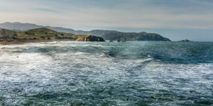 Pacific Ocean Shape, Features & Wildlife Explained for Class Level