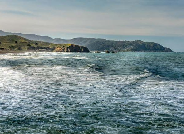 Pacific Ocean: Shape, Features & Wildlife Explained for Class Level