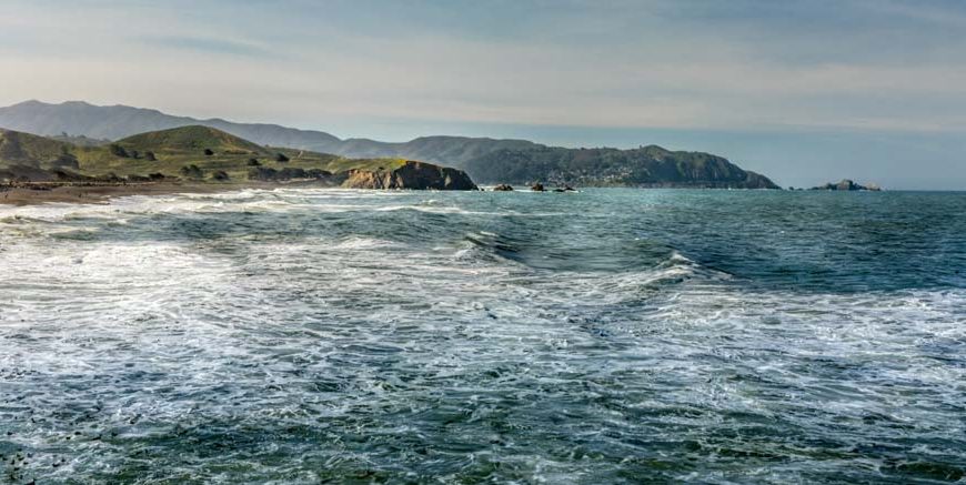 Pacific Ocean Shape, Features & Wildlife Explained for Class Level