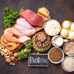 Proteins Learn Definition, Facts & Examples