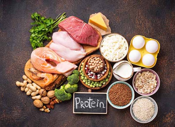 Proteins Learn Definition, Facts & Examples