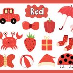 Teach Your Child About Things That Are Red In Colour