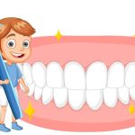 Teeth for Kids - Overview, Types, Tooth Structure and Problems