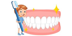 Teeth for Kids - Overview, Types, Tooth Structure and Problems