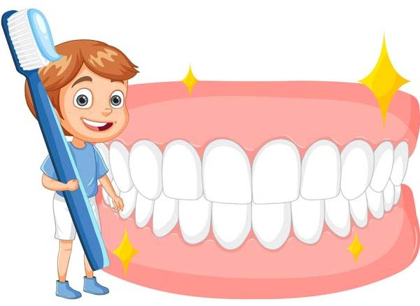 Teeth for Kids - Overview, Types, Tooth Structure and Problems